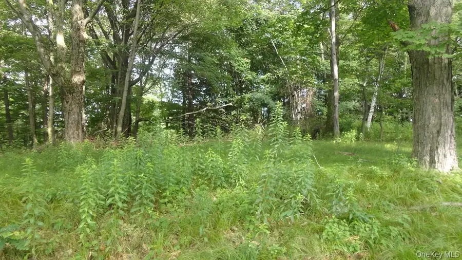 Henry Road, Cragsmoor, NY 12420 - Image #3