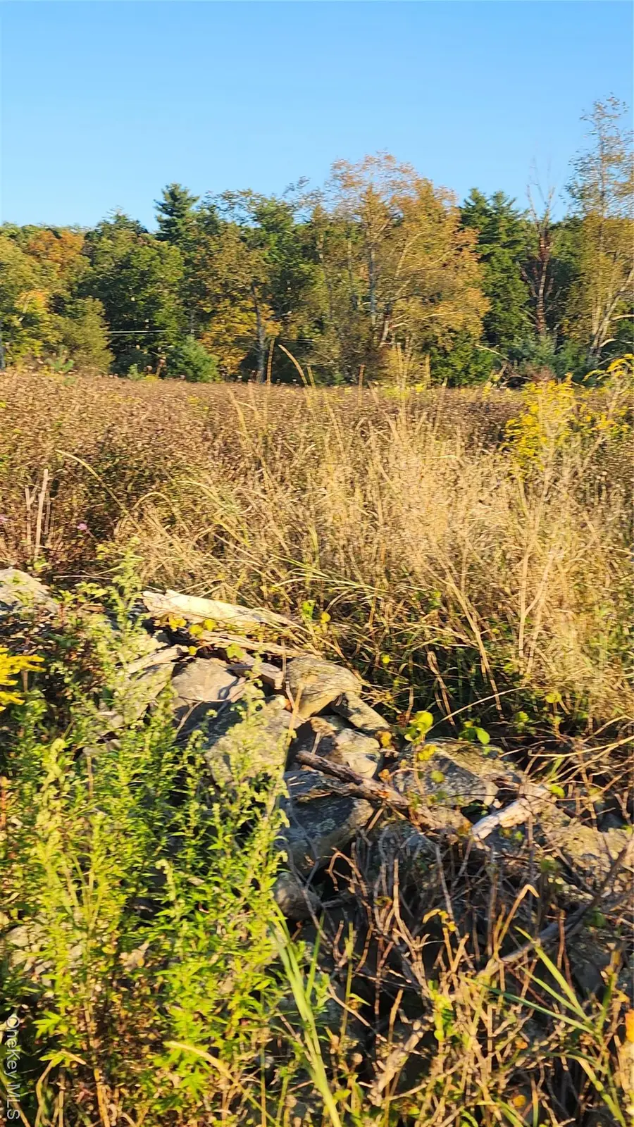 647 Irish Cape Road, Ellenville, NY 12428 - Image #2