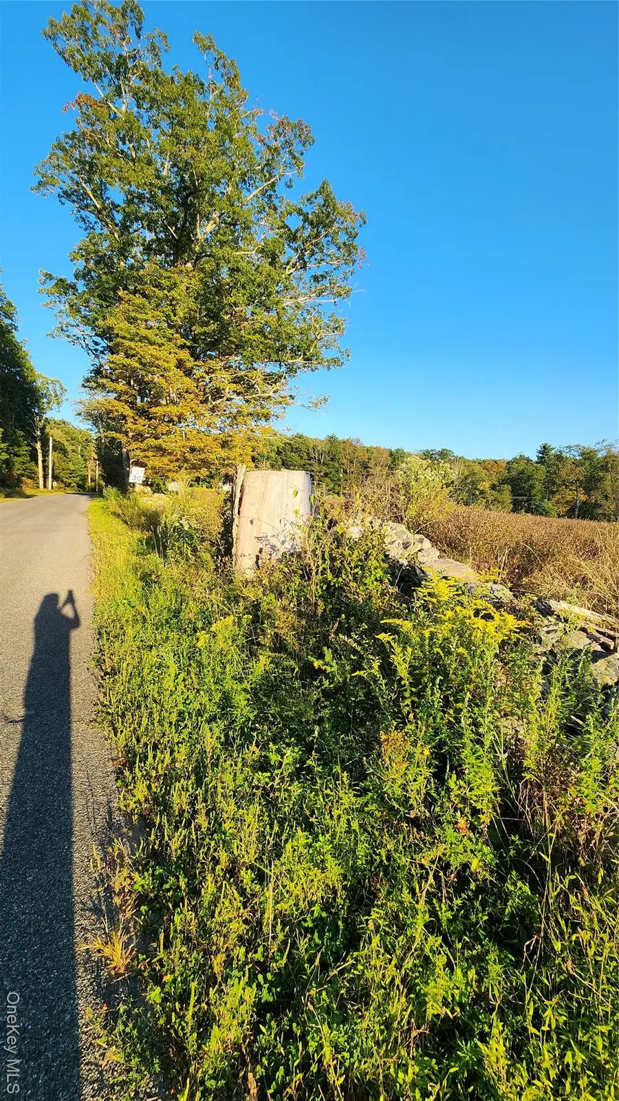 647 Irish Cape Road, Ellenville, NY 12428 - Image #3