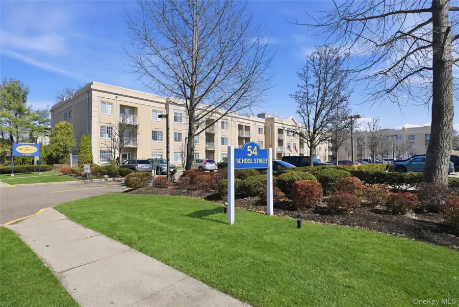 54 School Street #221, Westbury, NY 11590 - #2