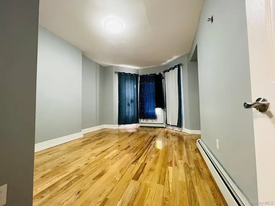 165 Chestnut Street, Brooklyn, NY 11208 - Image #2