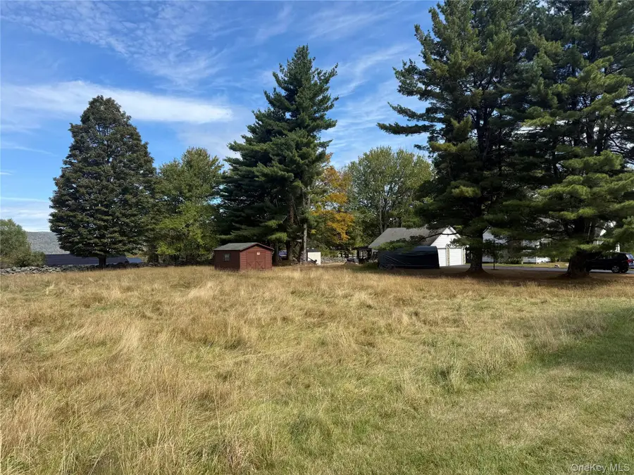 Hall Road, Grahamsville, NY 12740 - Image #3