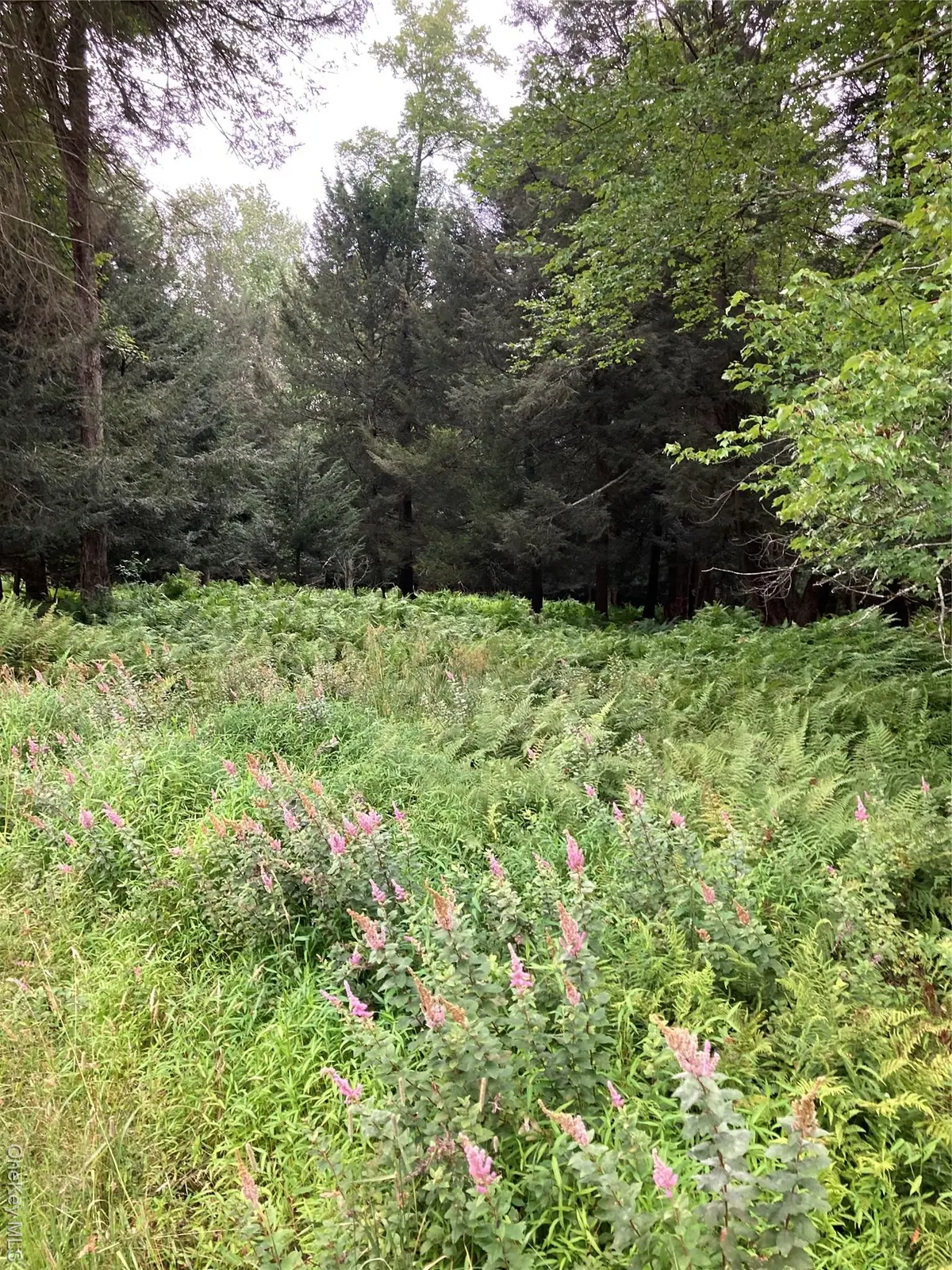 Jaketown Road, Monticello, NY  - Image #1