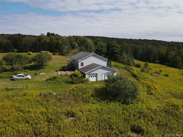 9 Queen Mountain Road #64, Ferndale, NY 12734