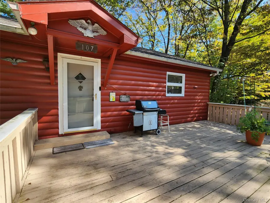 107 E Thompson Place, Smallwood, NY 12778 - Image #2