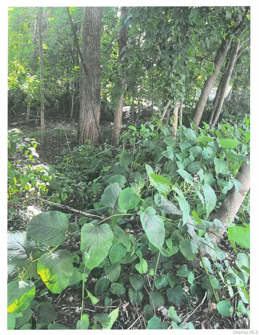 Lots 8, 9 & 10 Dale Avenue, Cortlandt Manor, NY 10567 - Image #3