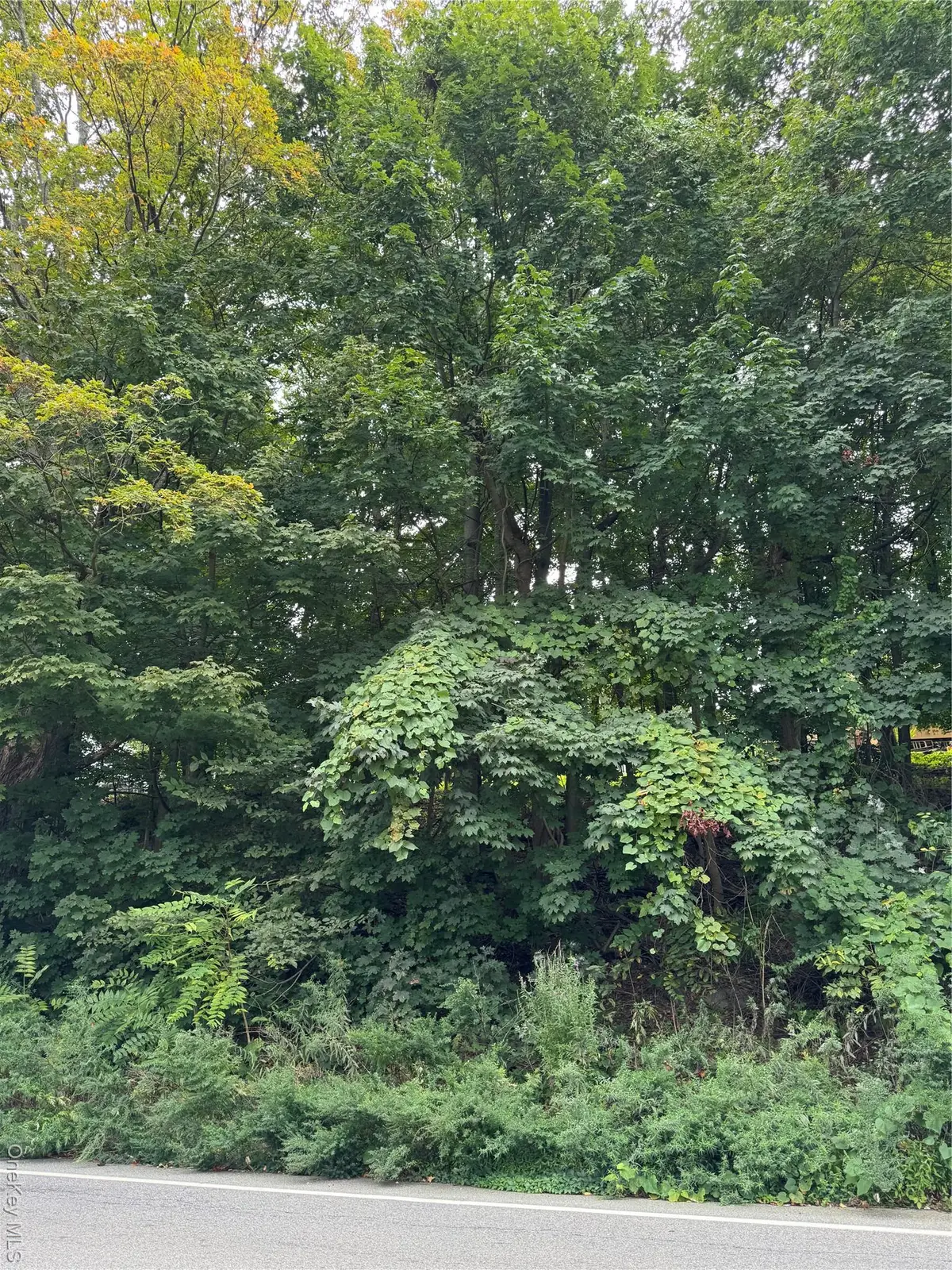 1605 Crompond Road, Peekskill, NY 10566 - Image #1