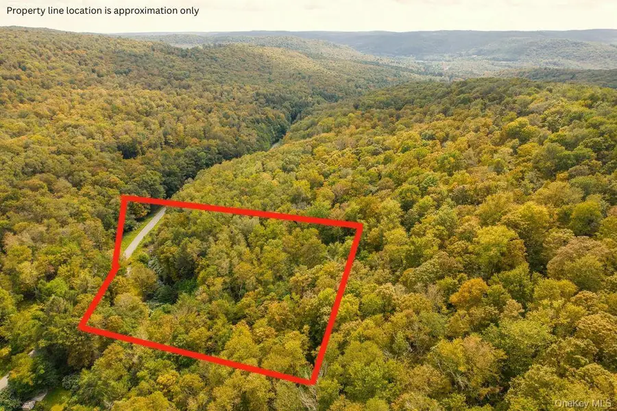 175 Elm Hollow Road, Livingston Manor, NY 12758 - Image #2