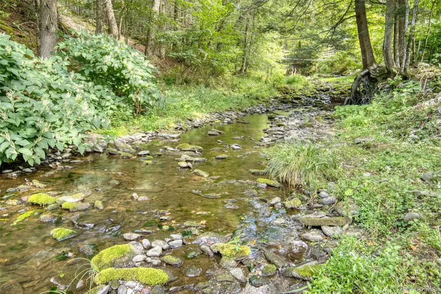 175 Elm Hollow Road, Livingston Manor, NY 12758 - Image #3