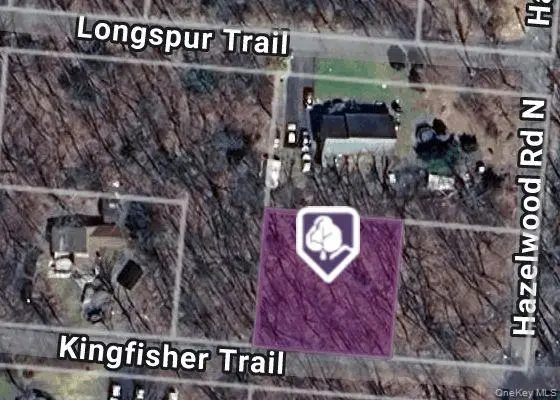 Kingfisher Trail, Wurtsboro, NY 12790