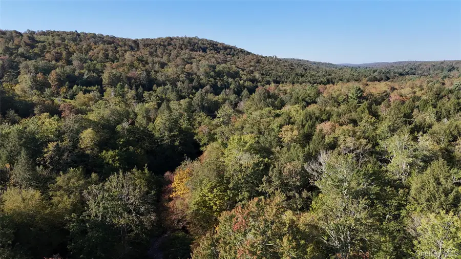 Town Park Road, Monticello, NY 12701 - Image #2