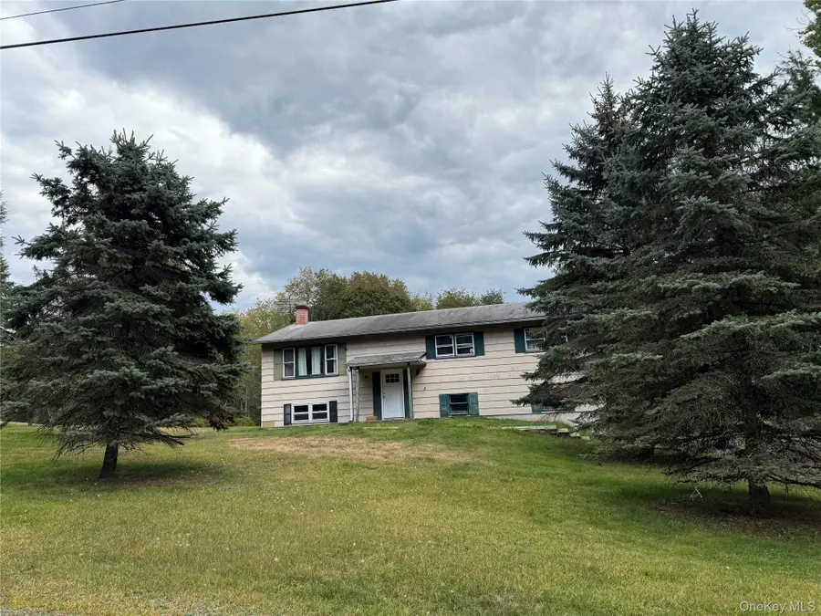 227 Dill Road, Forestburgh, NY 12777 - Image #3