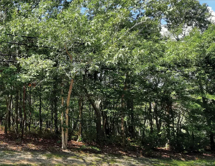 149 Montauk Highway, Quogue, NY 11959 - Image #3