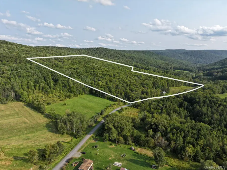 1990 Finch Hollow Road, Walton, NY 13856 - Image #2