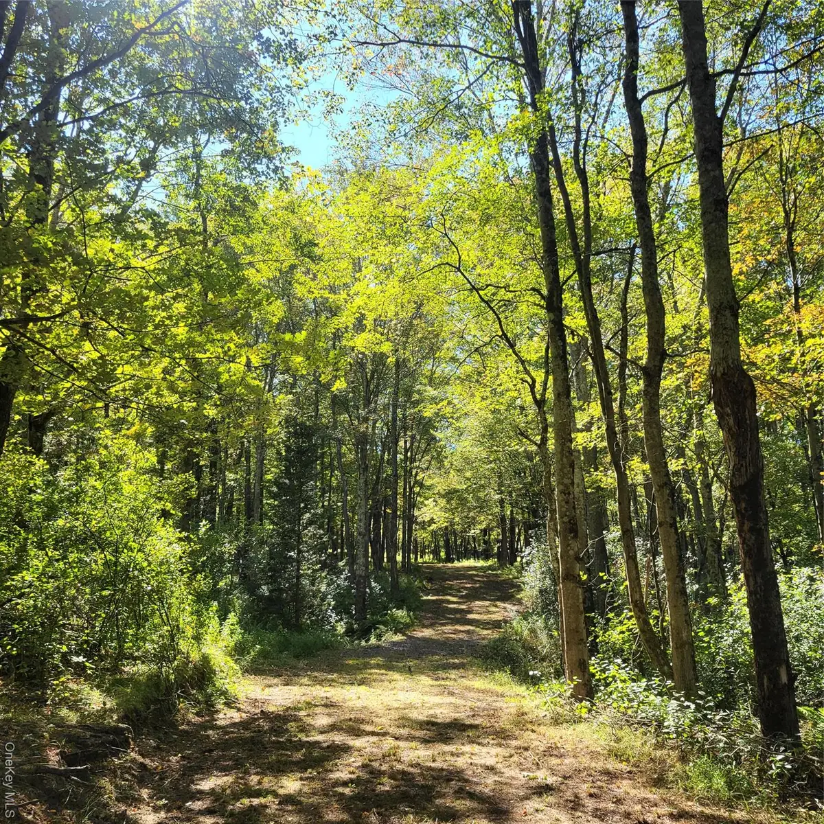 TBD Stephenson Road, Bethel, NY 12720 - Image #1