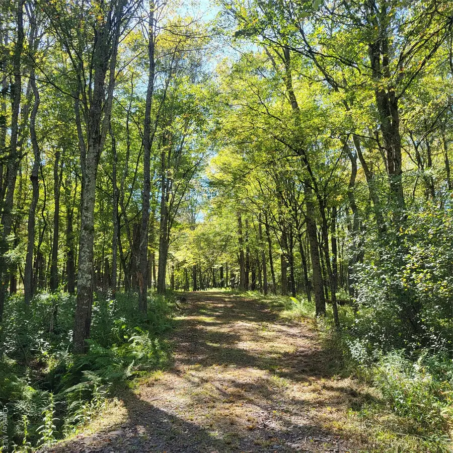 TBD Stephenson Road, Bethel, NY 12720 - Image #2