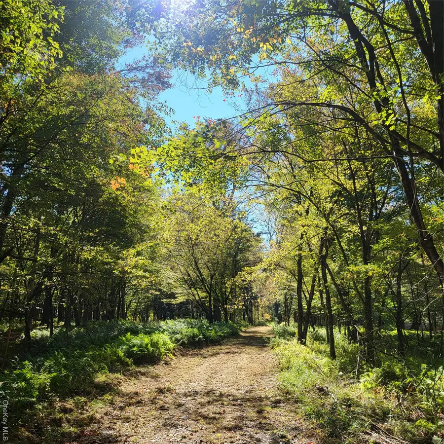 TBD Stephenson Road, Bethel, NY 12720 - Image #3