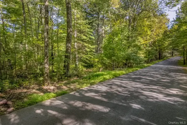 187 Rocky Mountain Road, Kerhonkson, NY 