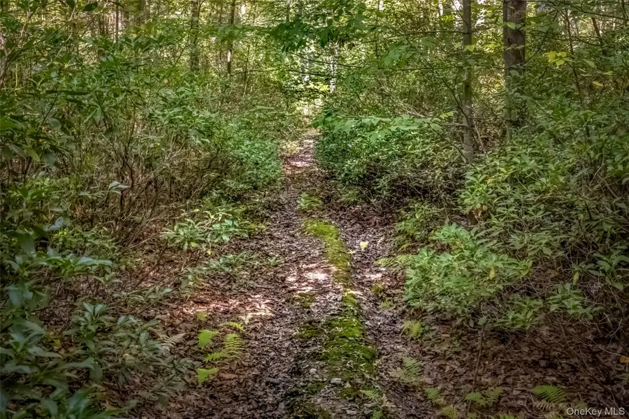 187 Rocky Mountain Road, Kerhonkson, NY  - Image #2