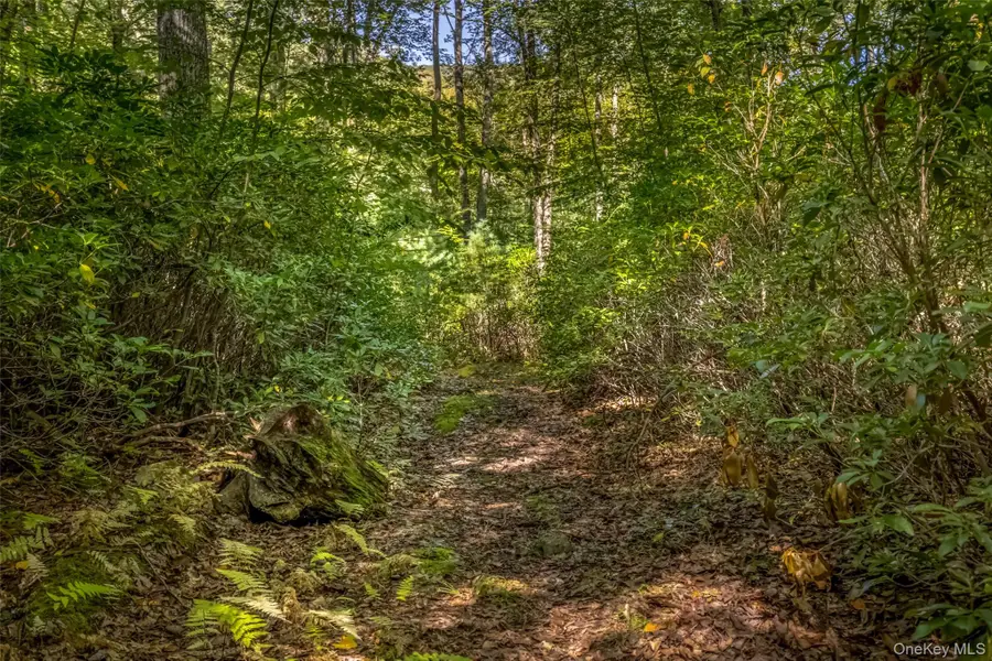 187 Rocky Mountain Road, Kerhonkson, NY  - Image #3