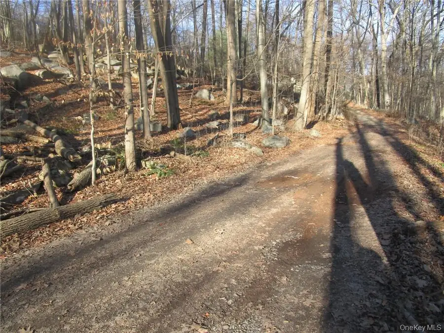 Brookside/bear Mtn Parkway Avenue, Cortlandt Manor, NY 10567 - Image #3