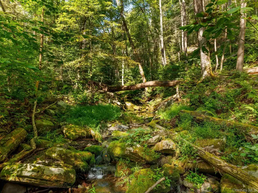 197 Trails End Road, Kerhonkson, NY 12446 - Image #3