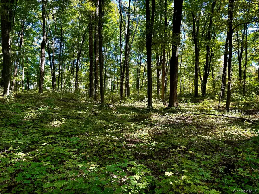 Freedom Road, Lagrangeville, NY 12569 - Image #2