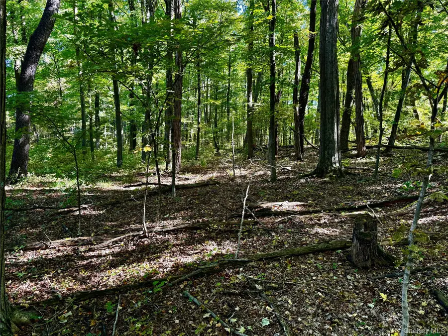 Freedom Road, Lagrangeville, NY 12569 - Image #3