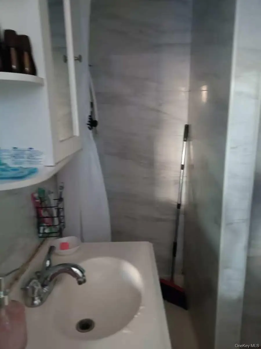 216 Elzey Avenue, Elmont, NY 11003 - Image #2