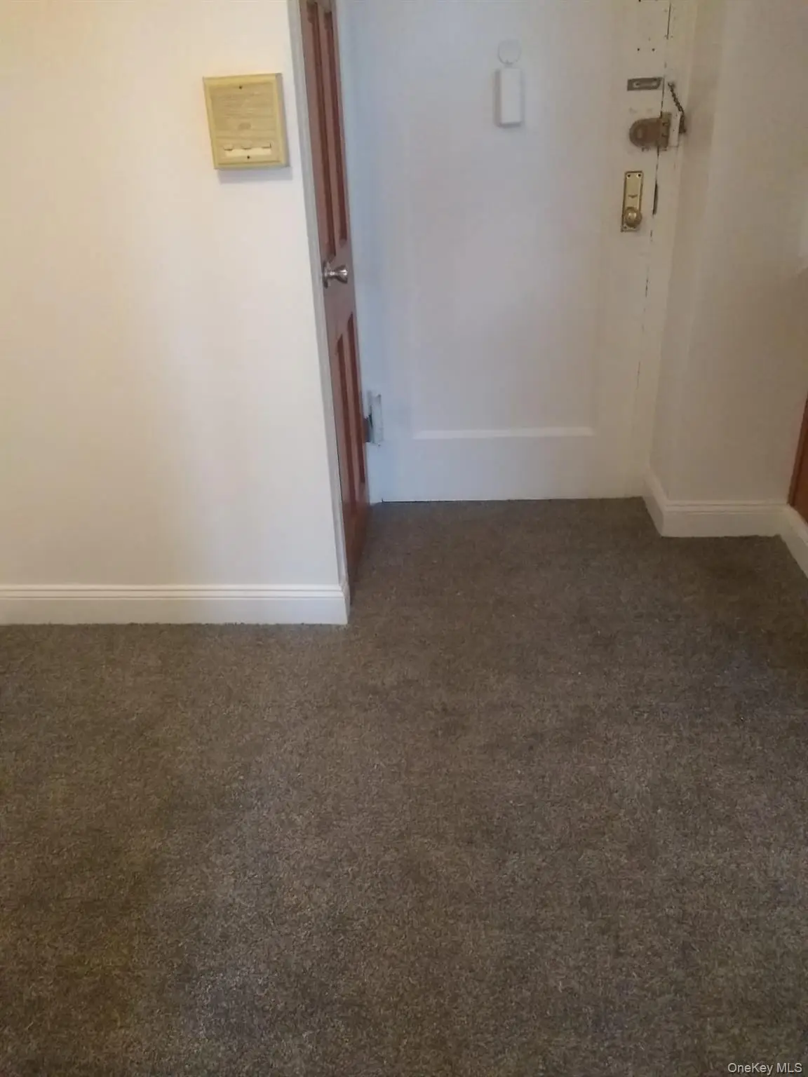 1718 Purdy Street #3D, Bronx, NY 10462 - Image #1