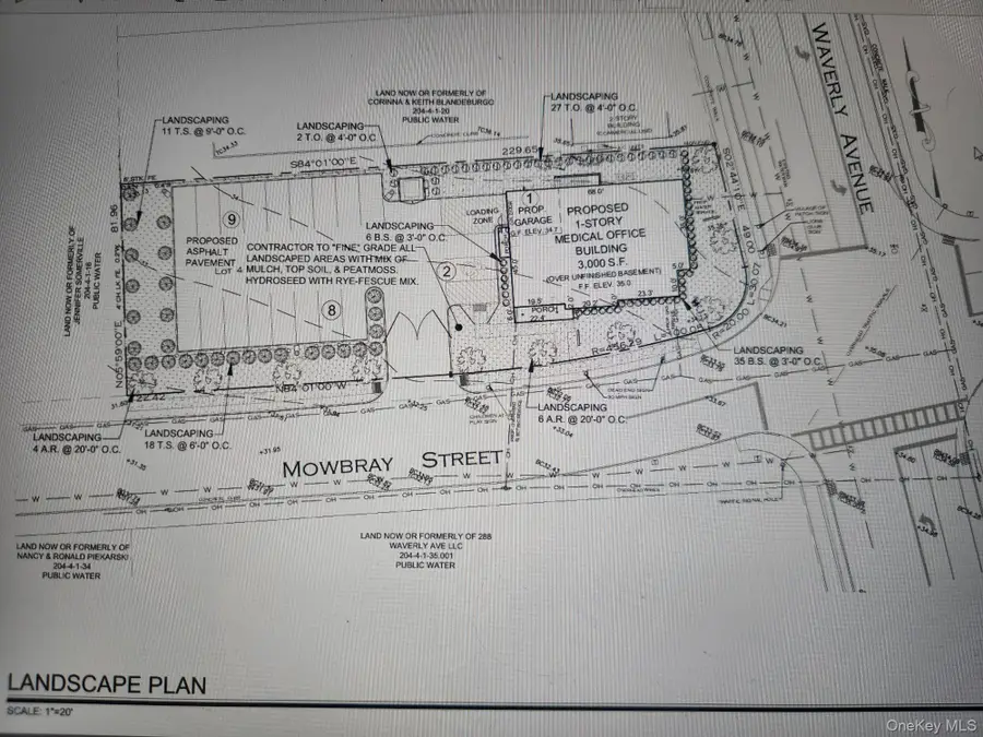 Waverly Avenue, Patchogue, NY 11772 - Image #3