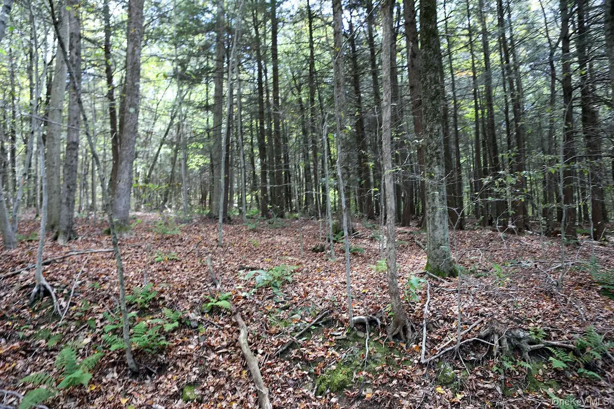 0 Rt-97, Chenango, NY 13783 - Image #1