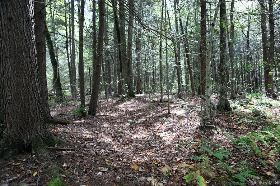 0 Rt-97, Chenango, NY 13783 - Image #2