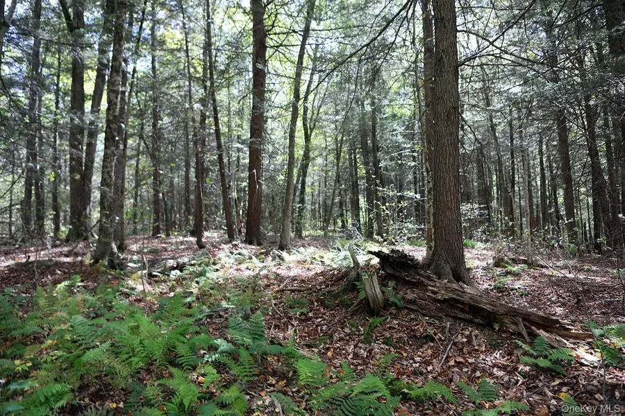 0 Rt-97, Chenango, NY 13783 - Image #3