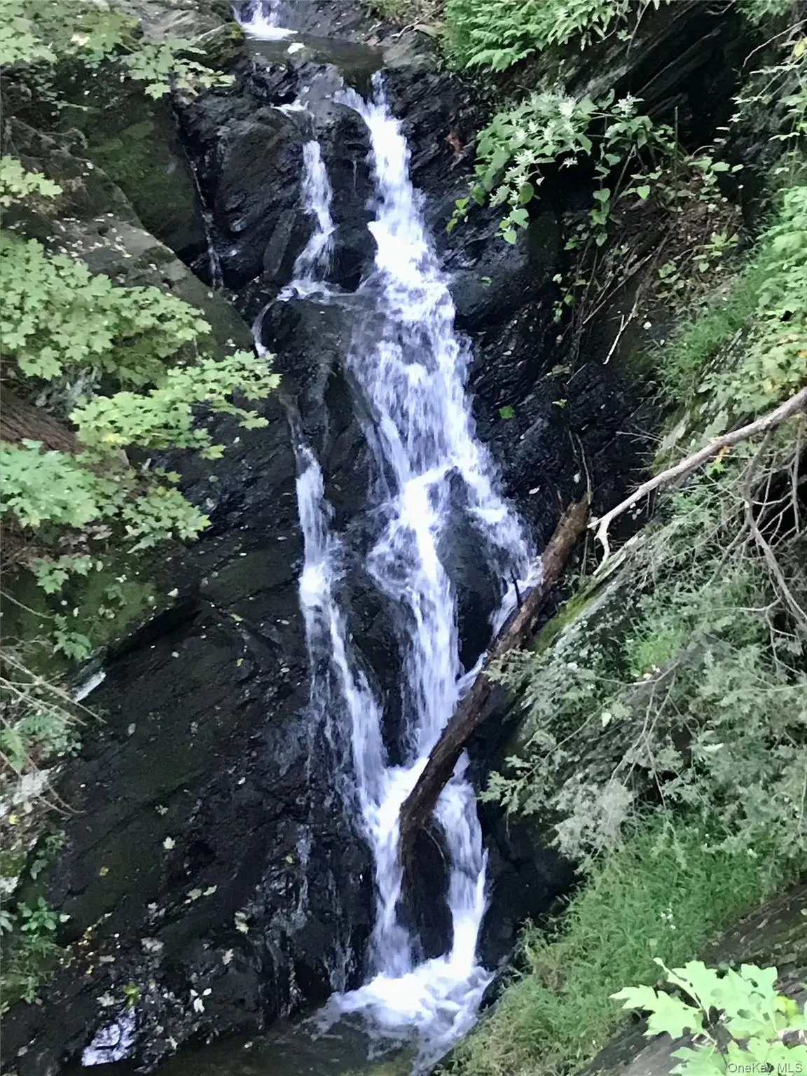 331 Mountain Lodge Road, Blooming Grove, NY 10914 - #1