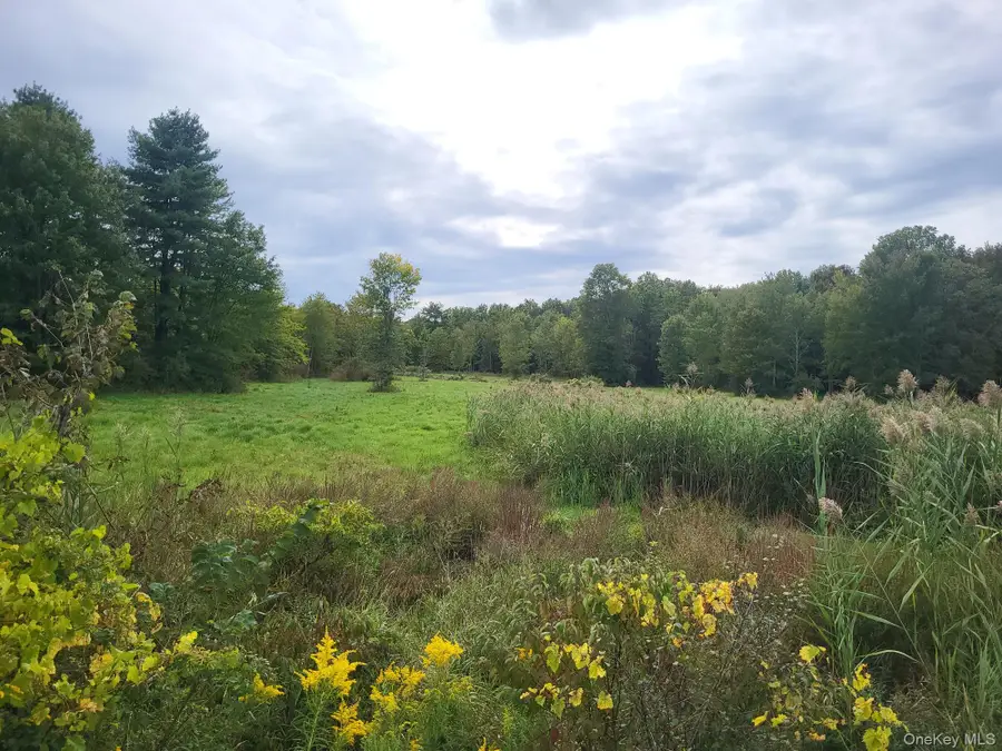 328 Bloomingburg Road, Middletown, NY 10940 - Image #3