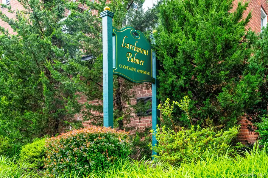 1299 Palmer Avenue #237, Larchmont, NY 10538 - Image #2