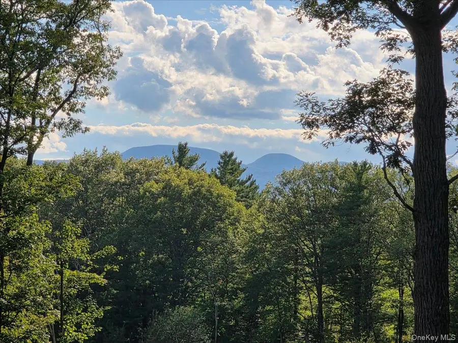 1927 County Route 67, Cairo, NY 12413 - Image #3