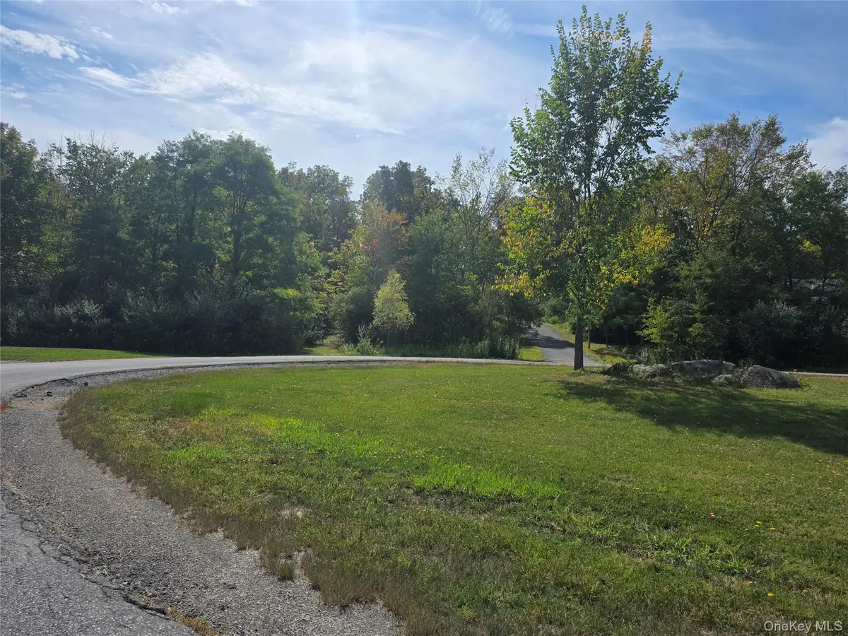 6 Durham Woods Road, Durham, NY 12422 - #1