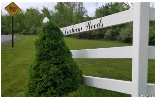 6 Durham Woods Road, Durham, NY 12422 - #3