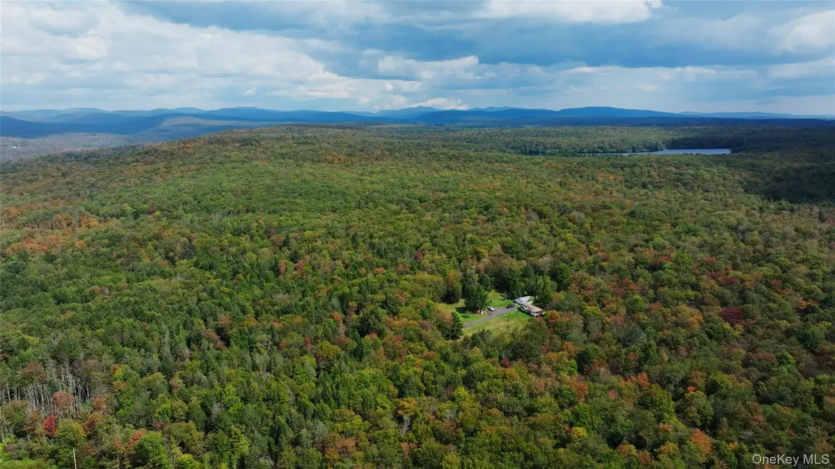 480 Breezy Hill Road, Parksville, NY 12768 - Image #1