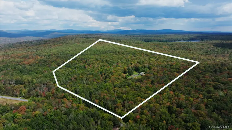 480 Breezy Hill Road, Parksville, NY 12768 - Image #2