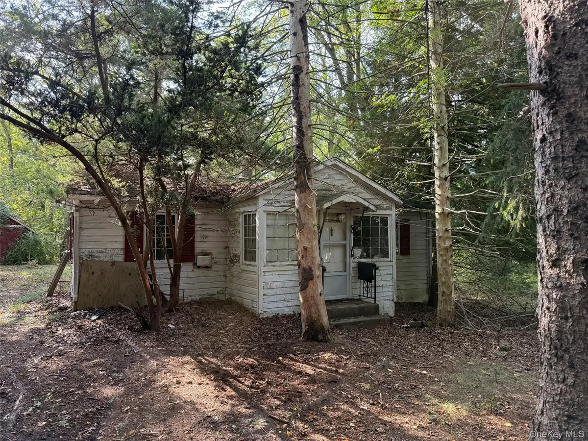 20 Primrose Path, Manorville, NY 11949 - #1