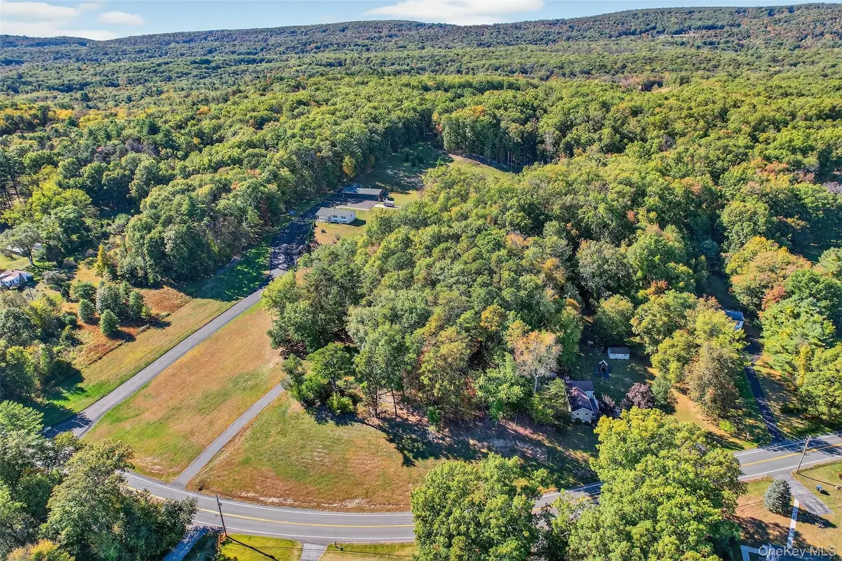 335 Burlingham Road, Bloomingburg, NY 12721 - Image #1