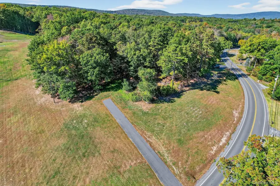 335 Burlingham Road, Bloomingburg, NY 12721 - Image #3