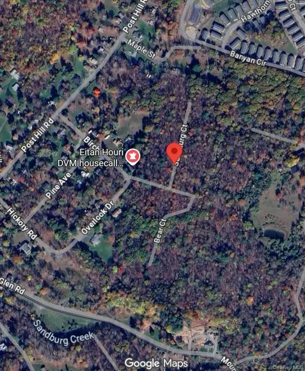 35 Birch Street, Mountain Dale, NY 12733 - Image #3