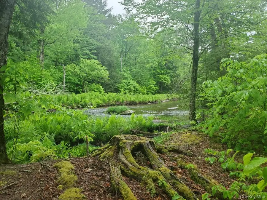 TBD Creamery Road, Mongaup Valley, NY 12720 - Image #3