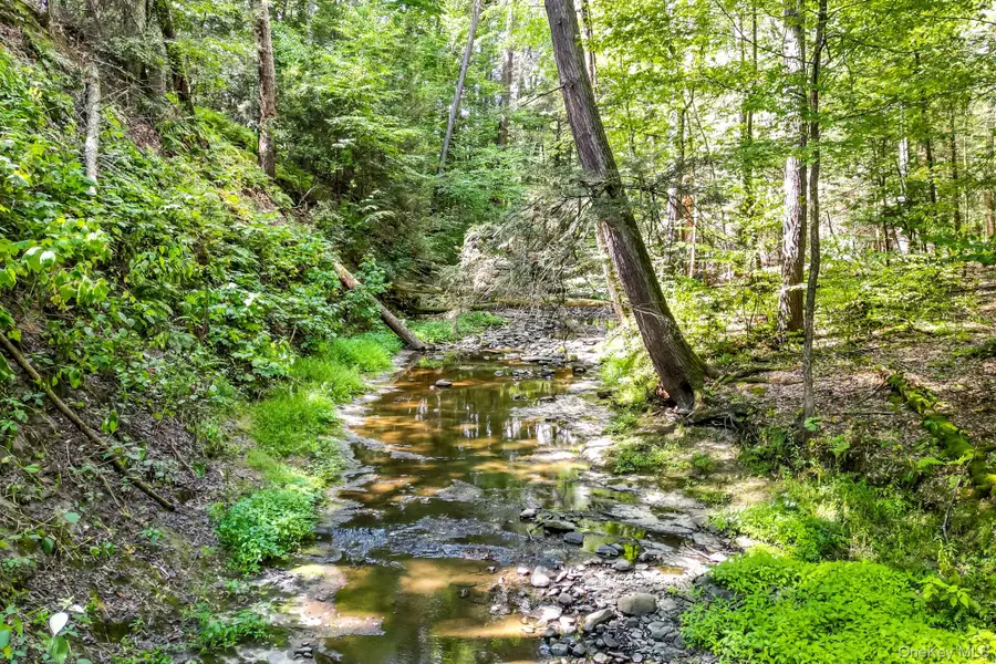 35 Fern Hollow Road, Stone Ridge, NY 12484 - Image #3