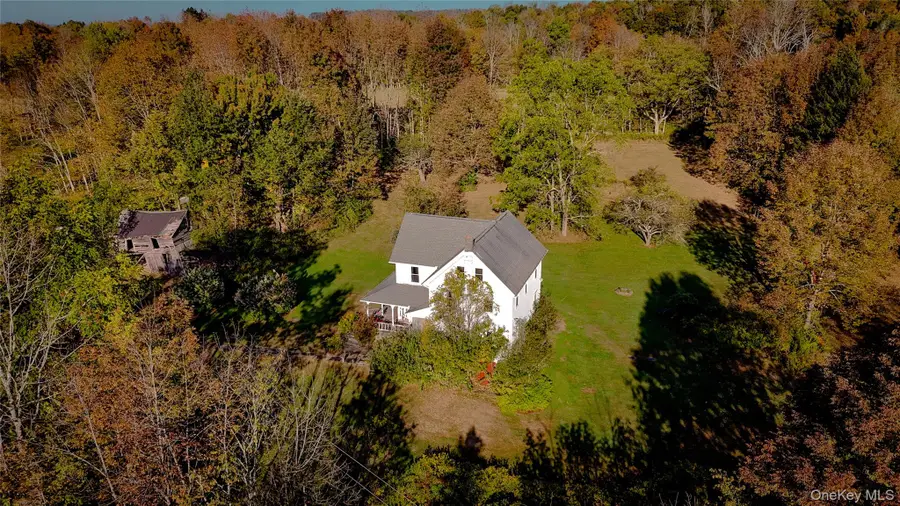 118 Villa Roma Road, Delaware, NY 12723 - Image #3