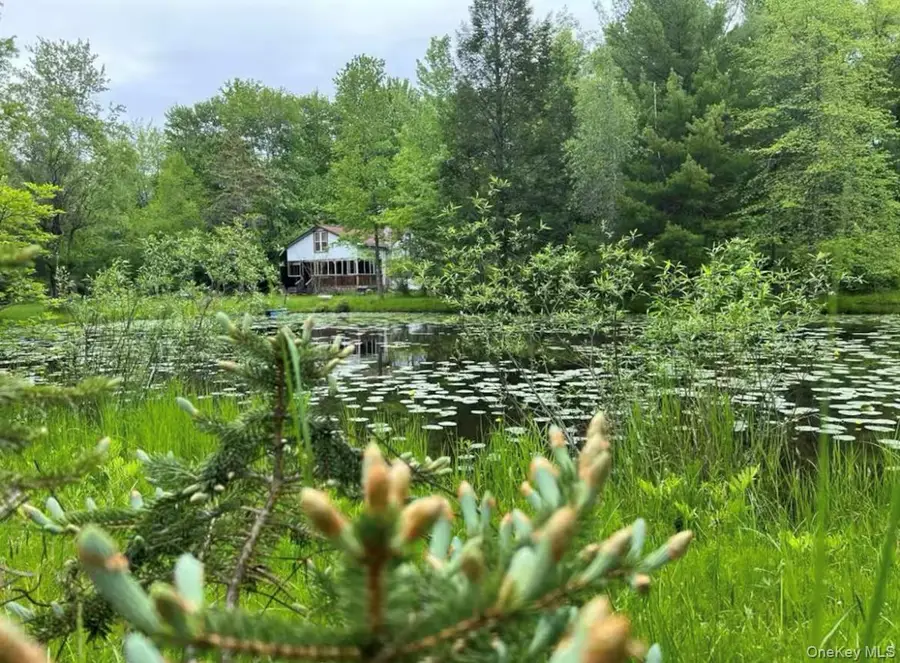 792 Briggs Highway, Ellenville, NY 12428 - Image #2